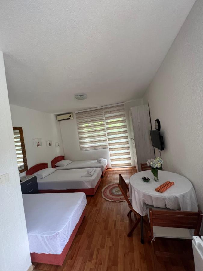 Apartman Tristan 赫尔采格诺维 外观 照片